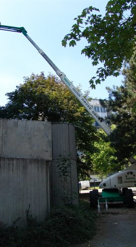 location nacelle telescopique, bizon