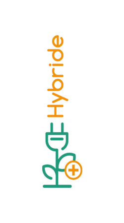 HYBRIDES