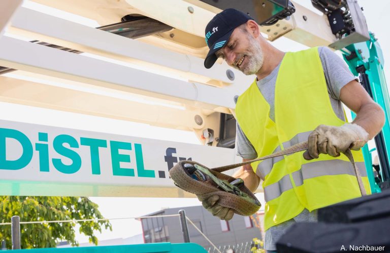 Distel-7 Distel-7